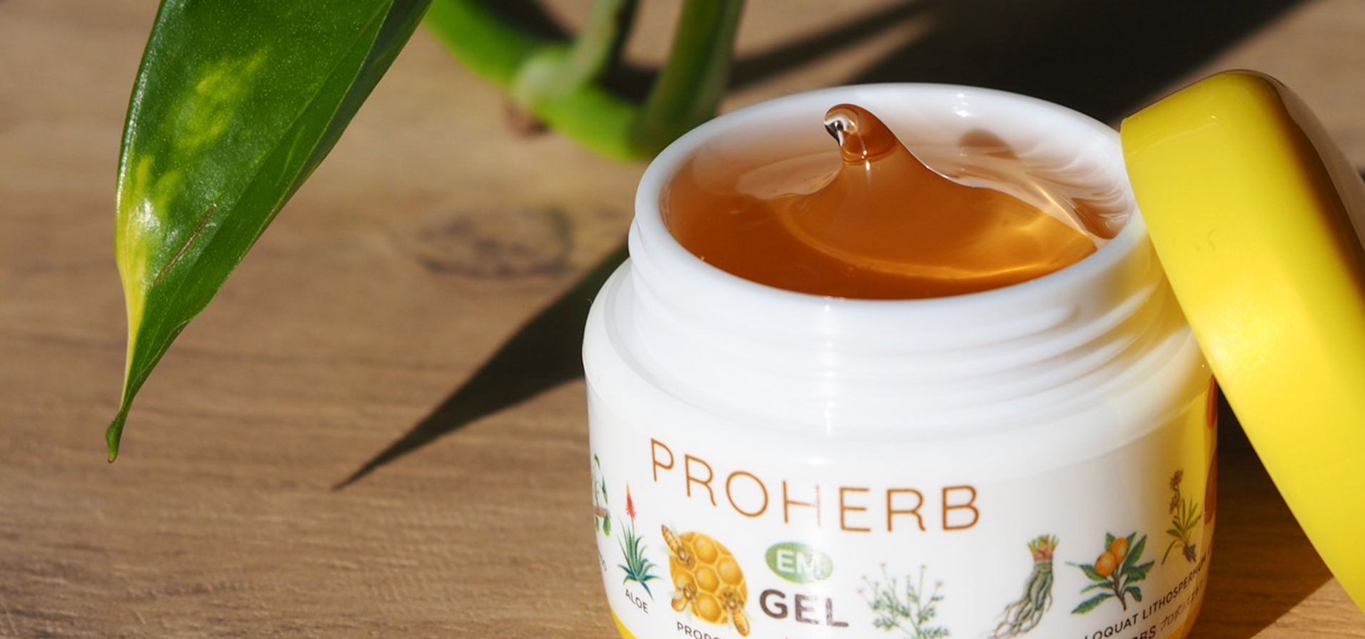 家族みんなをやさしく包み込む