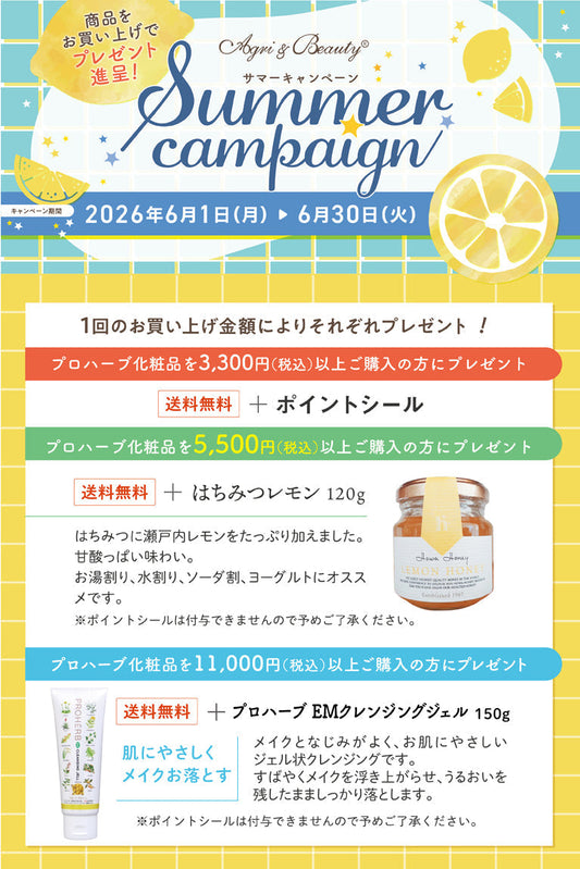サマーキャンペーンのお知らせ