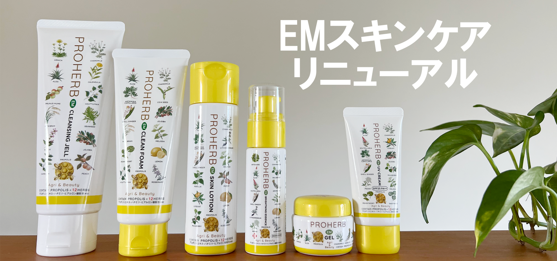 PROHERB Agri＆Beauty｜プロハーブ化粧品の通販・販売 – proherb-agrifoods